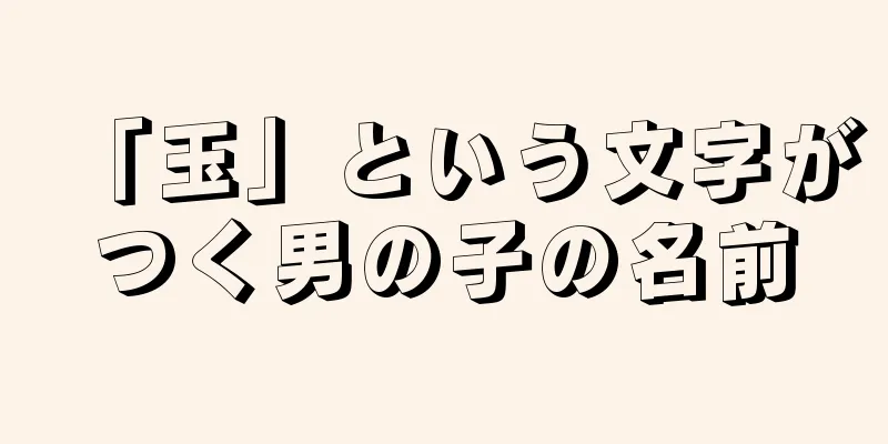 「玉」という文字がつく男の子の名前