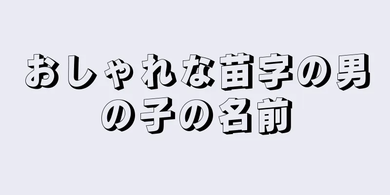 おしゃれな苗字の男の子の名前