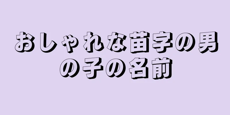 おしゃれな苗字の男の子の名前