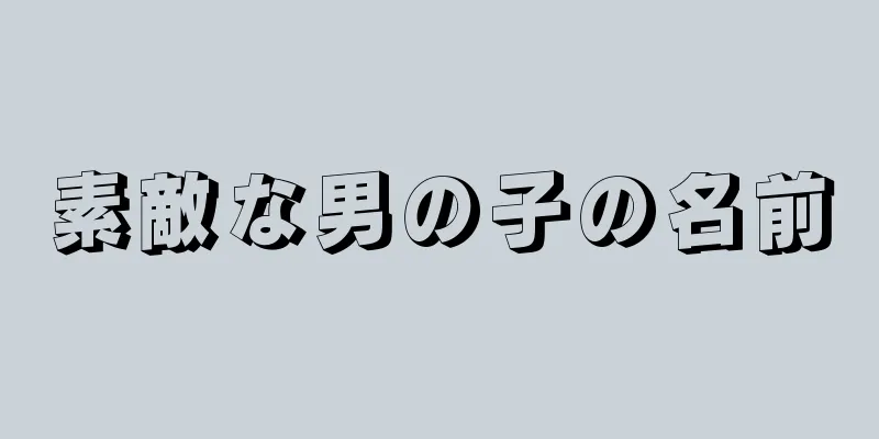 素敵な男の子の名前