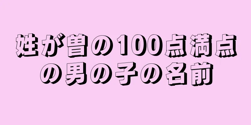 姓が曽の100点満点の男の子の名前