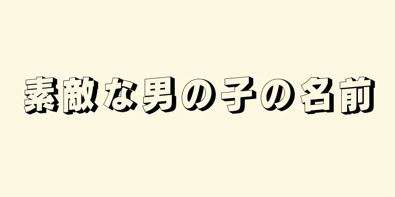素敵な男の子の名前