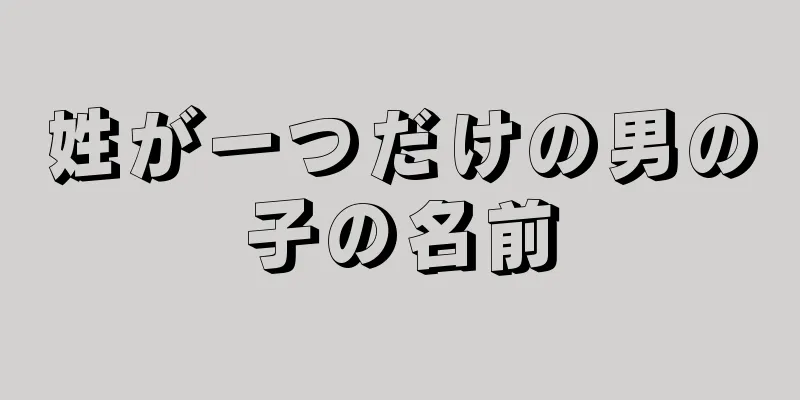 姓が一つだけの男の子の名前