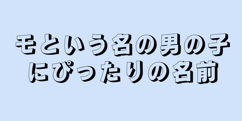 モという名の男の子にぴったりの名前