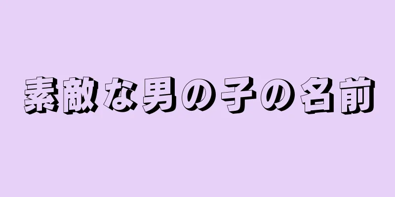 素敵な男の子の名前