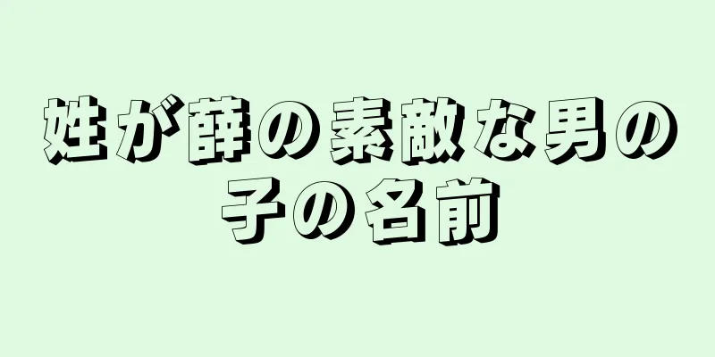 姓が薛の素敵な男の子の名前