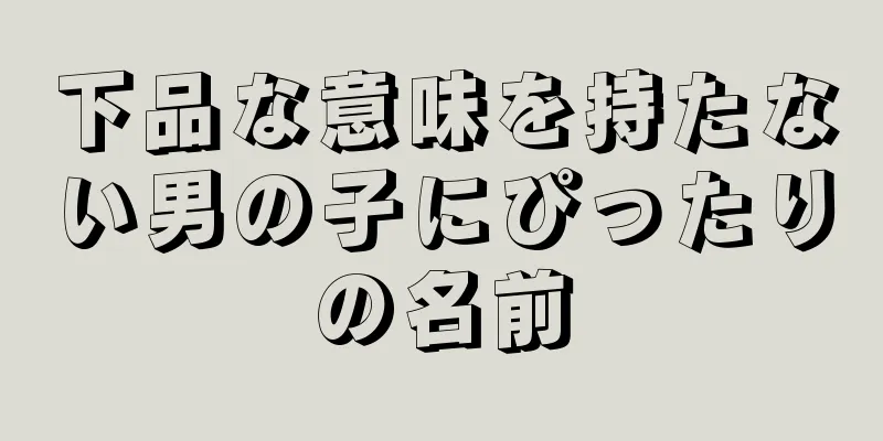 下品な意味を持たない男の子にぴったりの名前