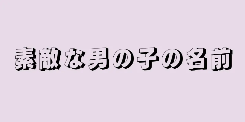 素敵な男の子の名前
