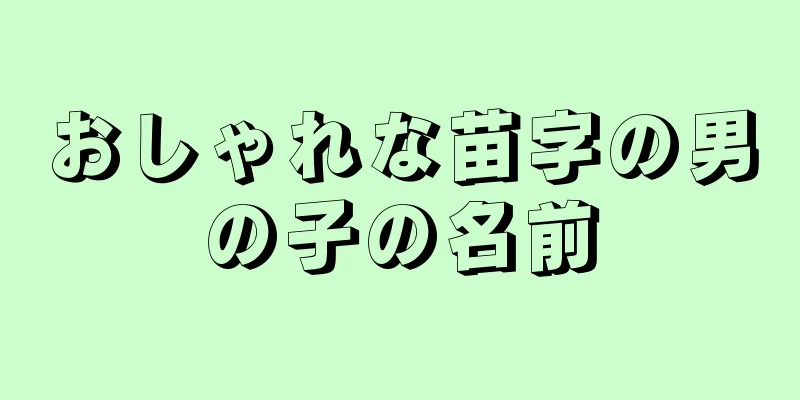 おしゃれな苗字の男の子の名前