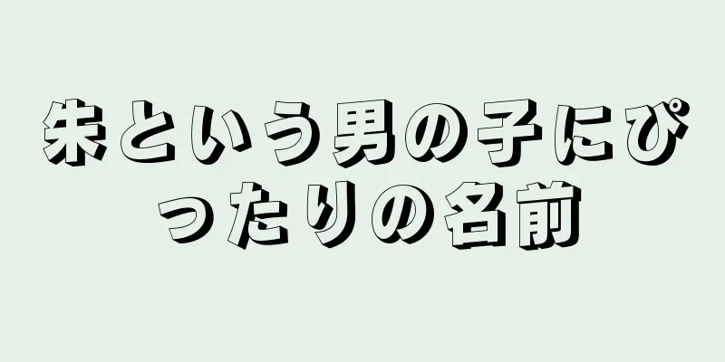 朱という男の子にぴったりの名前