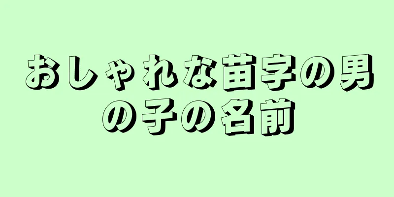 おしゃれな苗字の男の子の名前
