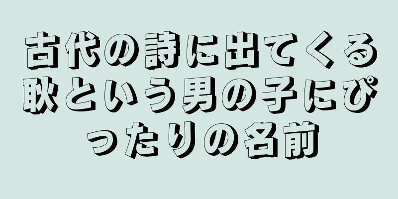 古代の詩に出てくる耿という男の子にぴったりの名前