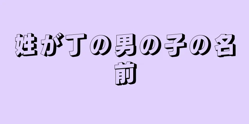 姓が丁の男の子の名前