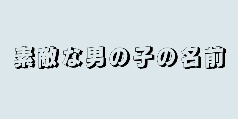 素敵な男の子の名前