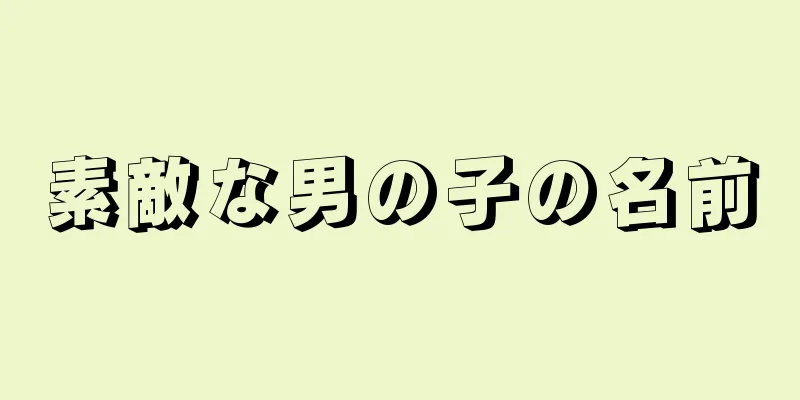 素敵な男の子の名前
