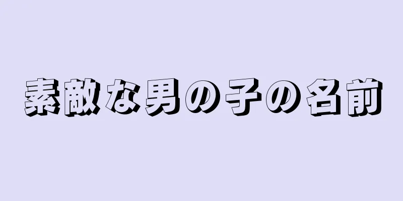 素敵な男の子の名前