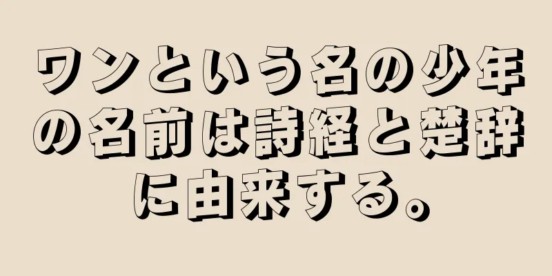ワンという名の少年の名前は詩経と楚辞に由来する。