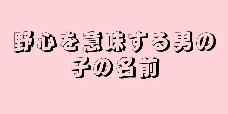 野心を意味する男の子の名前