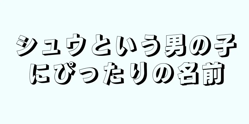 シュウという男の子にぴったりの名前