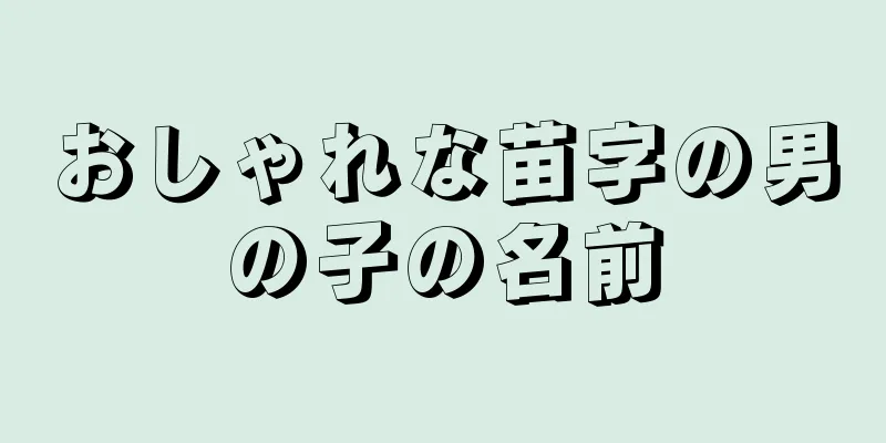 おしゃれな苗字の男の子の名前
