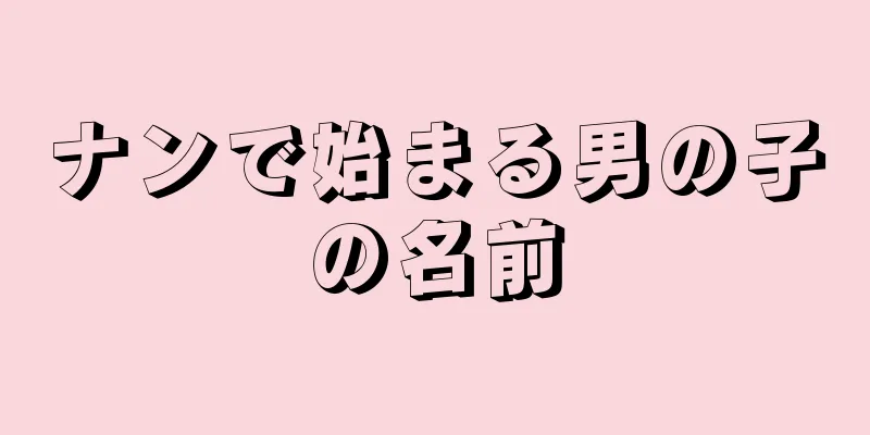 ナンで始まる男の子の名前