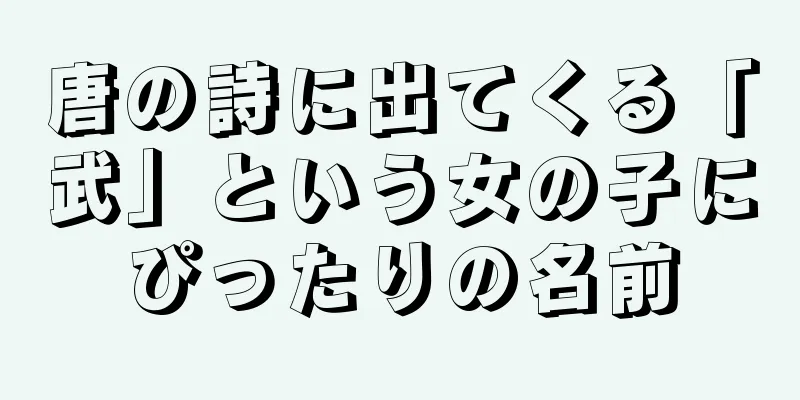 唐の詩に出てくる「武」という女の子にぴったりの名前
