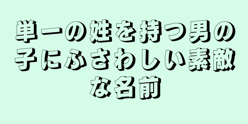 単一の姓を持つ男の子にふさわしい素敵な名前
