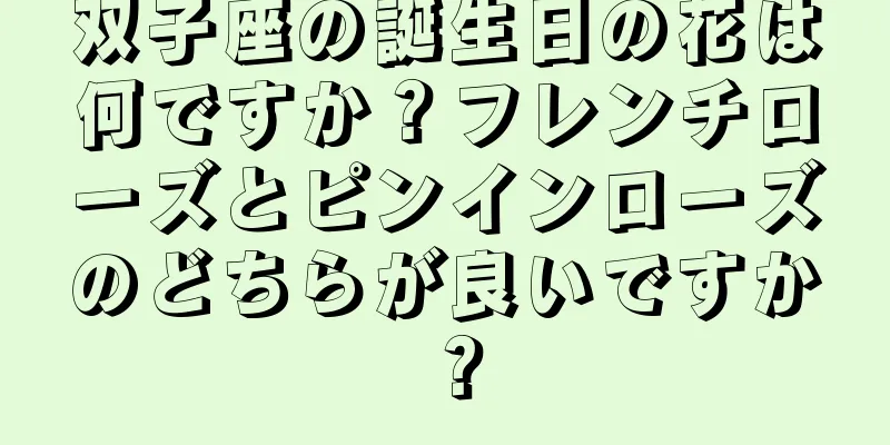 双子座の誕生日の花は何ですか？フレンチローズとピンインローズのどちらが良いですか？