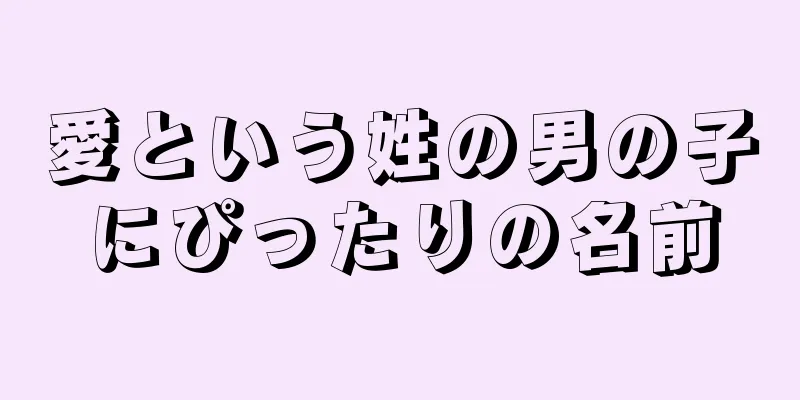 愛という姓の男の子にぴったりの名前