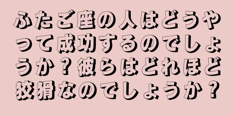 ふたご座の人はどうやって成功するのでしょうか？彼らはどれほど狡猾なのでしょうか？