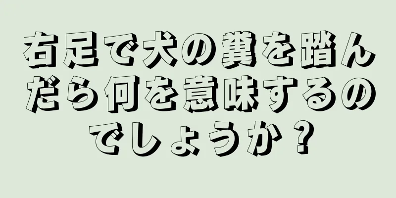 右足で犬の糞を踏んだら何を意味するのでしょうか？