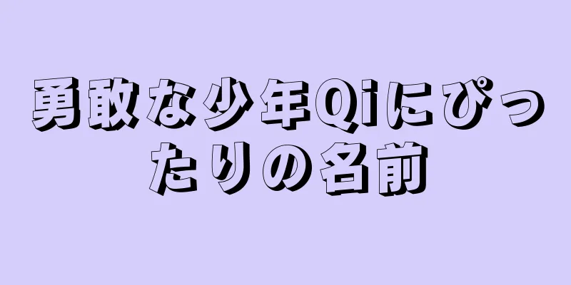 勇敢な少年Qiにぴったりの名前