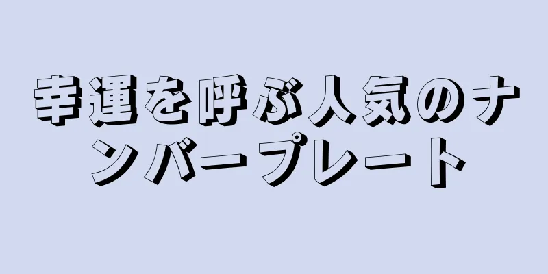 幸運を呼ぶ人気のナンバープレート