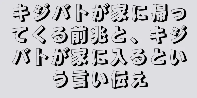 キジバトが家に帰ってくる前兆と、キジバトが家に入るという言い伝え