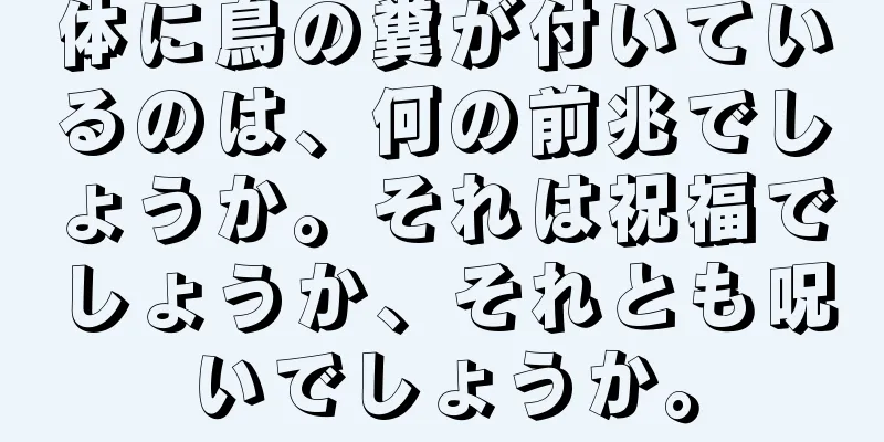 体に鳥の糞が付いているのは、何の前兆でしょうか。それは祝福でしょうか、それとも呪いでしょうか。
