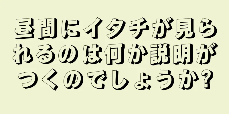 昼間にイタチが見られるのは何か説明がつくのでしょうか?