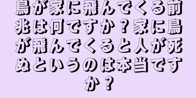 鳥が家に飛んでくる前兆は何ですか？家に鳥が飛んでくると人が死ぬというのは本当ですか？
