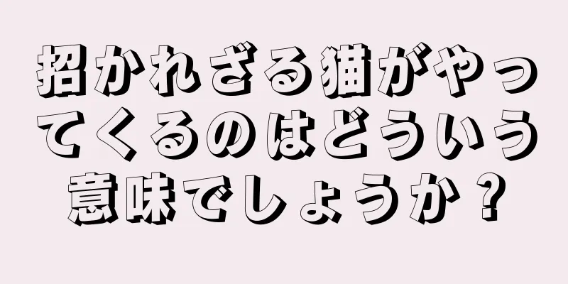 招かれざる猫がやってくるのはどういう意味でしょうか？