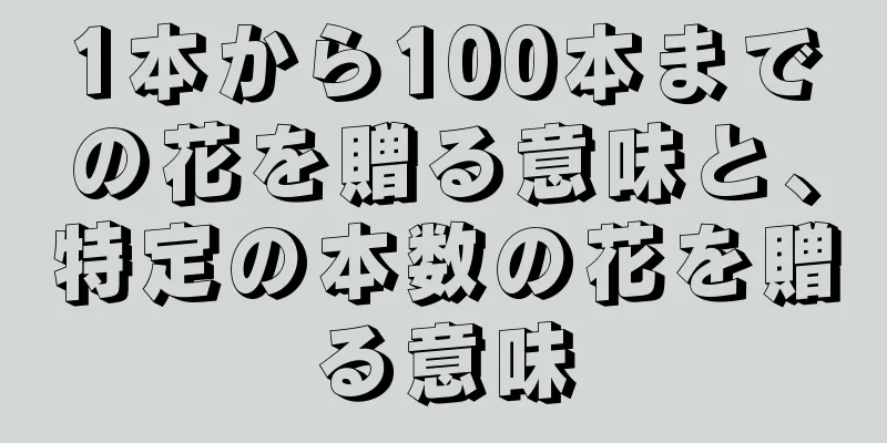 1本から100本までの花を贈る意味と、特定の本数の花を贈る意味