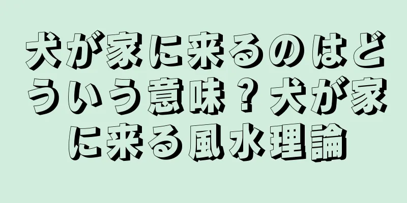 犬が家に来るのはどういう意味？犬が家に来る風水理論