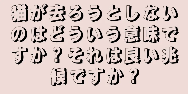 猫が去ろうとしないのはどういう意味ですか？それは良い兆候ですか？