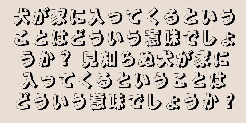 犬が家に入ってくるということはどういう意味でしょうか？ 見知らぬ犬が家に入ってくるということはどういう意味でしょうか？