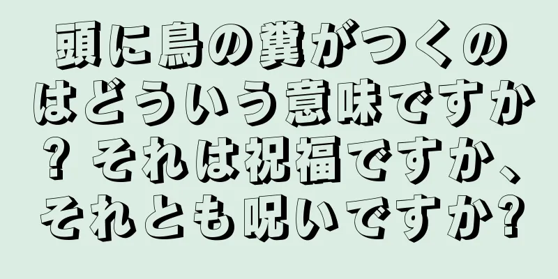 頭に鳥の糞がつくのはどういう意味ですか? それは祝福ですか、それとも呪いですか?