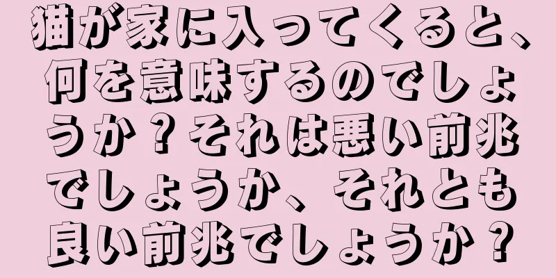 猫が家に入ってくると、何を意味するのでしょうか？それは悪い前兆でしょうか、それとも良い前兆でしょうか？