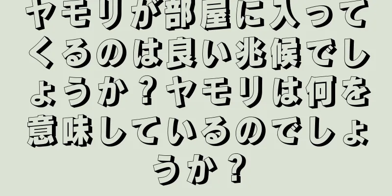 ヤモリが部屋に入ってくるのは良い兆候でしょうか？ヤモリは何を意味しているのでしょうか？