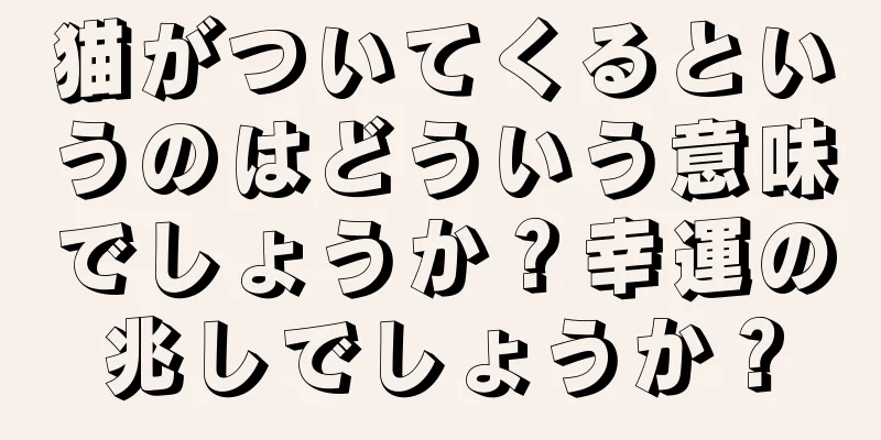 猫がついてくるというのはどういう意味でしょうか？幸運の兆しでしょうか？