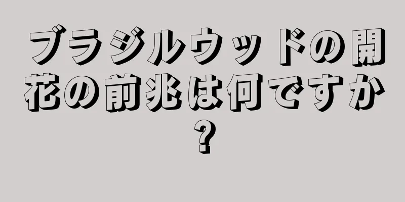 ブラジルウッドの開花の前兆は何ですか?