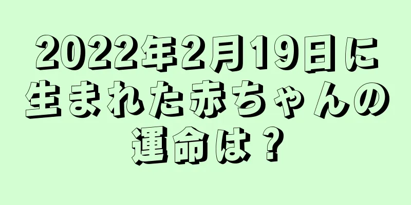 2022年2月19日に生まれた赤ちゃんの運命は？