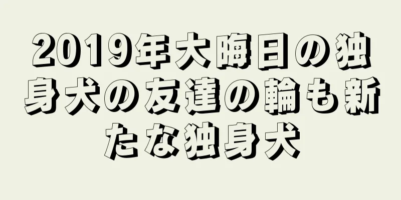 2019年大晦日の独身犬の友達の輪も新たな独身犬