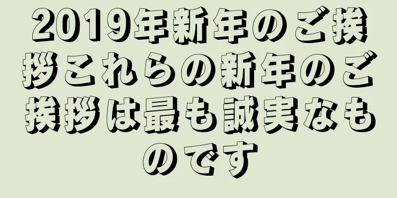 2019年新年のご挨拶これらの新年のご挨拶は最も誠実なものです